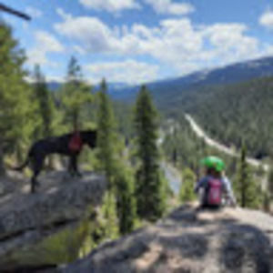 Meet your Posher, Travis